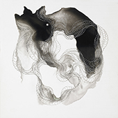 shell4